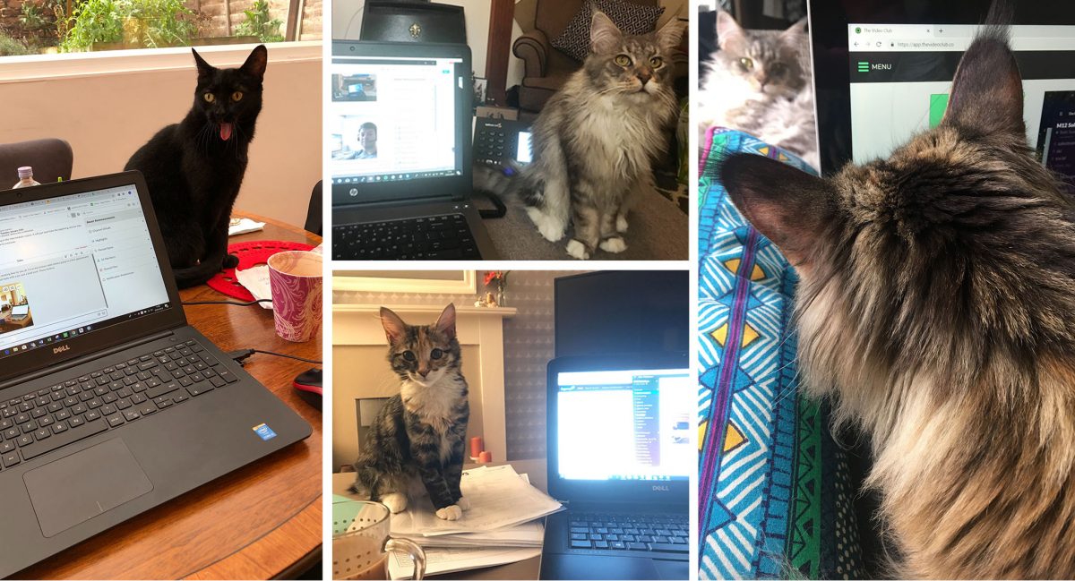 M12 employees working from home on emergency day